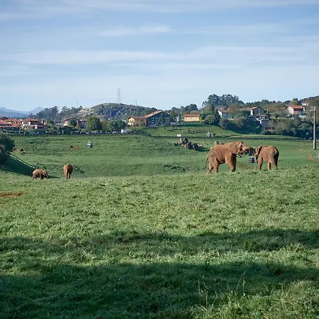 Szálloda Naturae 3*