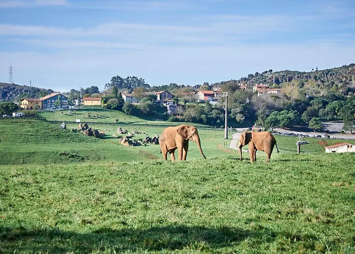 Hotel Naturae Cabarceno